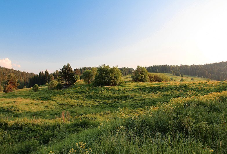 Prigorodniy raion nature sverdlovsk oblast 22 june 2013